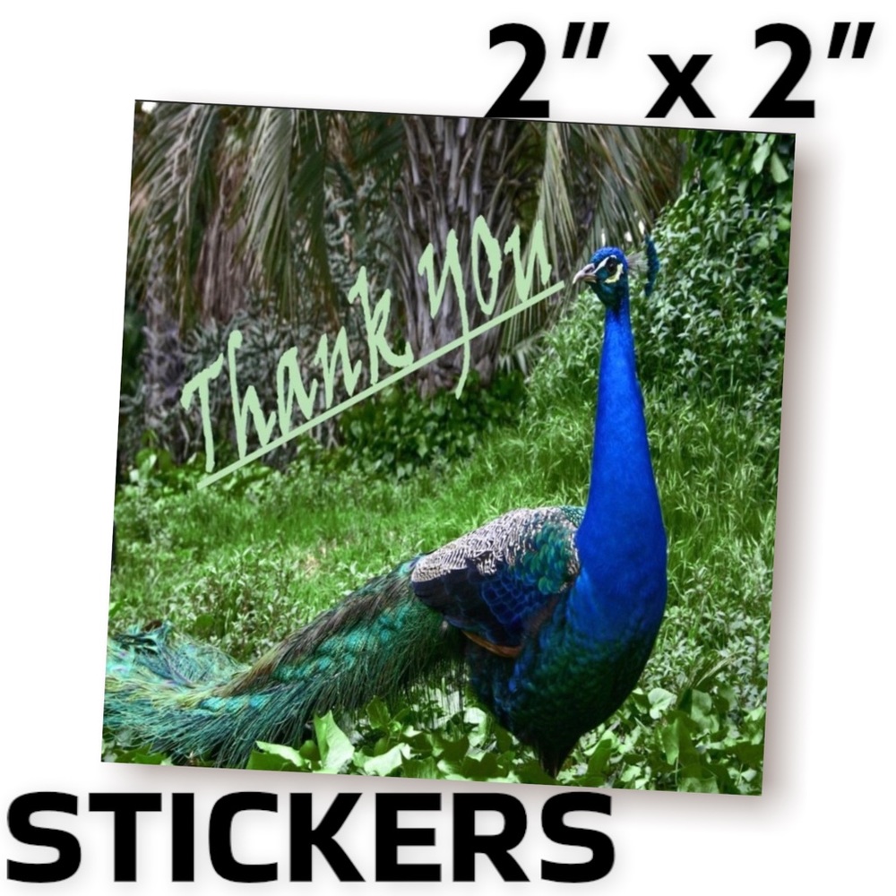 200 (2x2 Inch) Peacock, Square Stickers, High Gloss, Thank You, PRICE IS FIRM